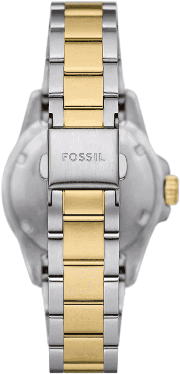 Fossil Blue Dive Three Hand Black Dial Two Tone Steel Strap Watch For Women - ES5349