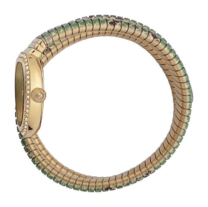 Just Cavalli Doppio Green Dial Multicolor Steel Strap Watch for Women - JC1L163M0055