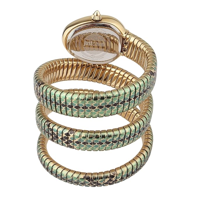 Just Cavalli Doppio Green Dial Multicolor Steel Strap Watch for Women - JC1L163M0055
