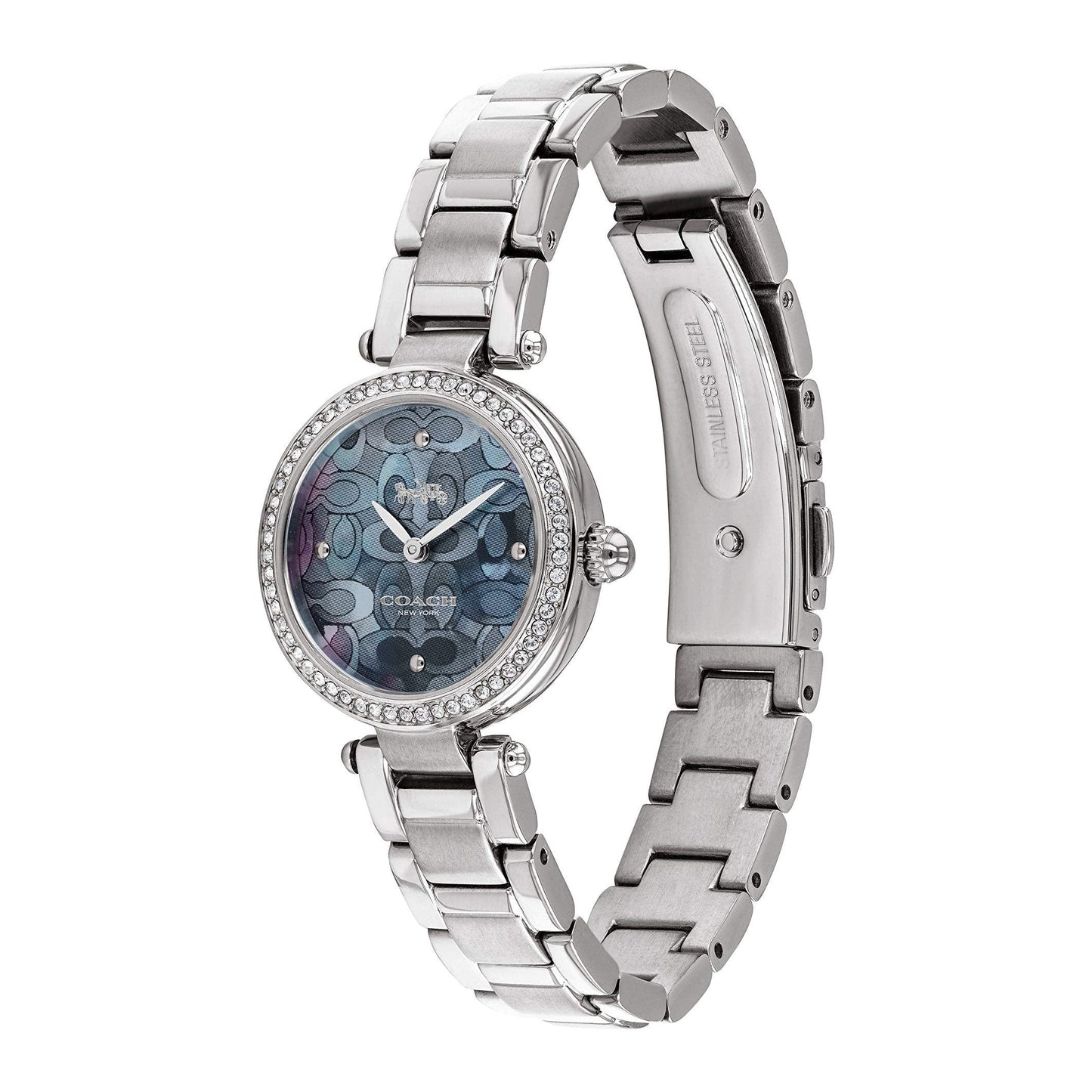 Coach Park Mother of Pearl Blue Dial Silver Steel Strap Watch for Women - 14503224