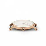 Daniel Wellington Classy Oxford White Dial Two Tone Nylon Strap Watch For Women - DW00100064