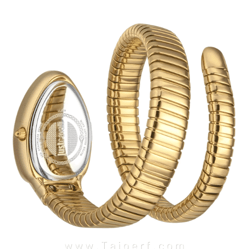 Just Cavalli Glam Evo 4 Green Dial Gold Steel Strap Watch for Women - JC1L229M0035