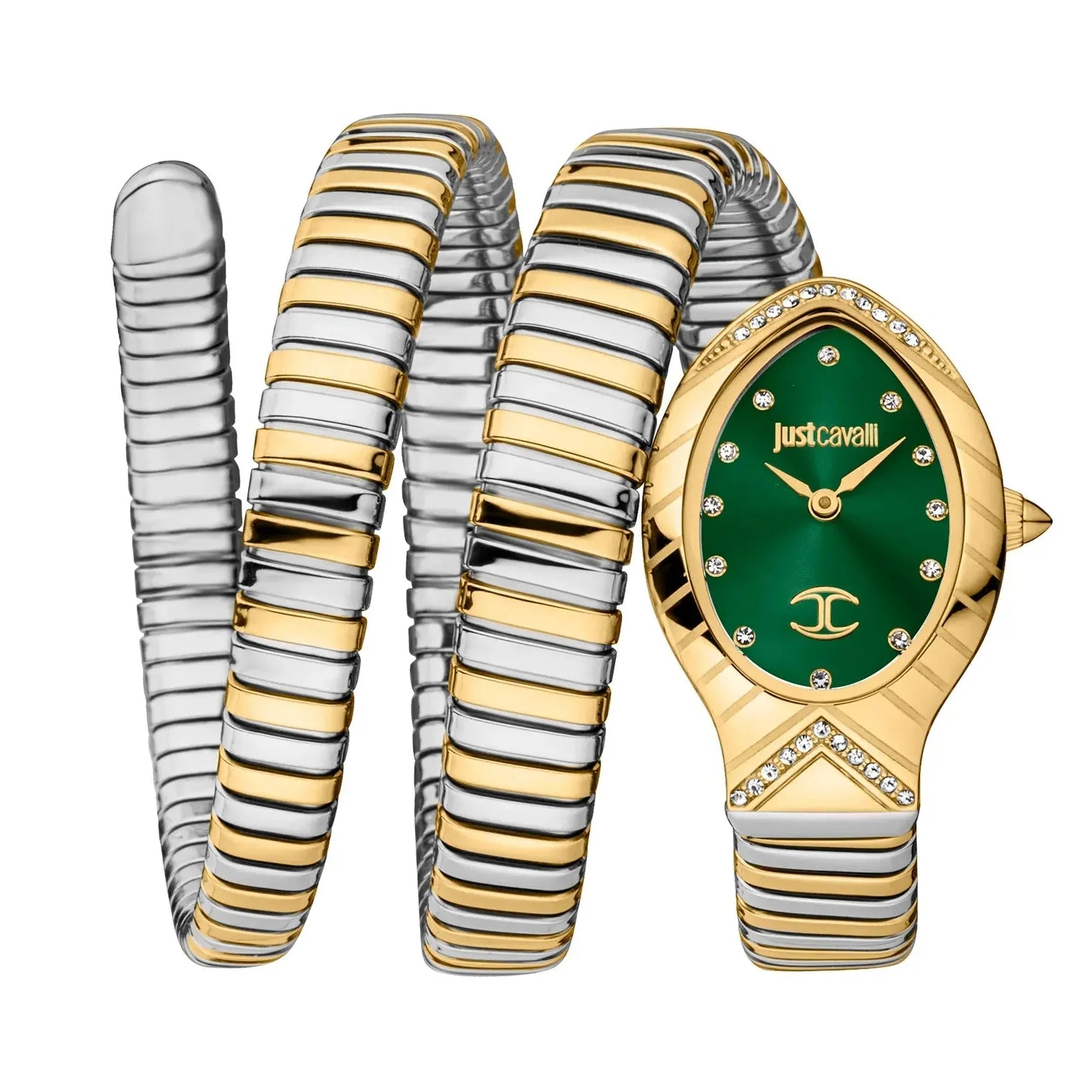 Just Cavalli Classico Lungo Green Dial Two Tone Steel Strap Watch for Women - JC1L248M0065