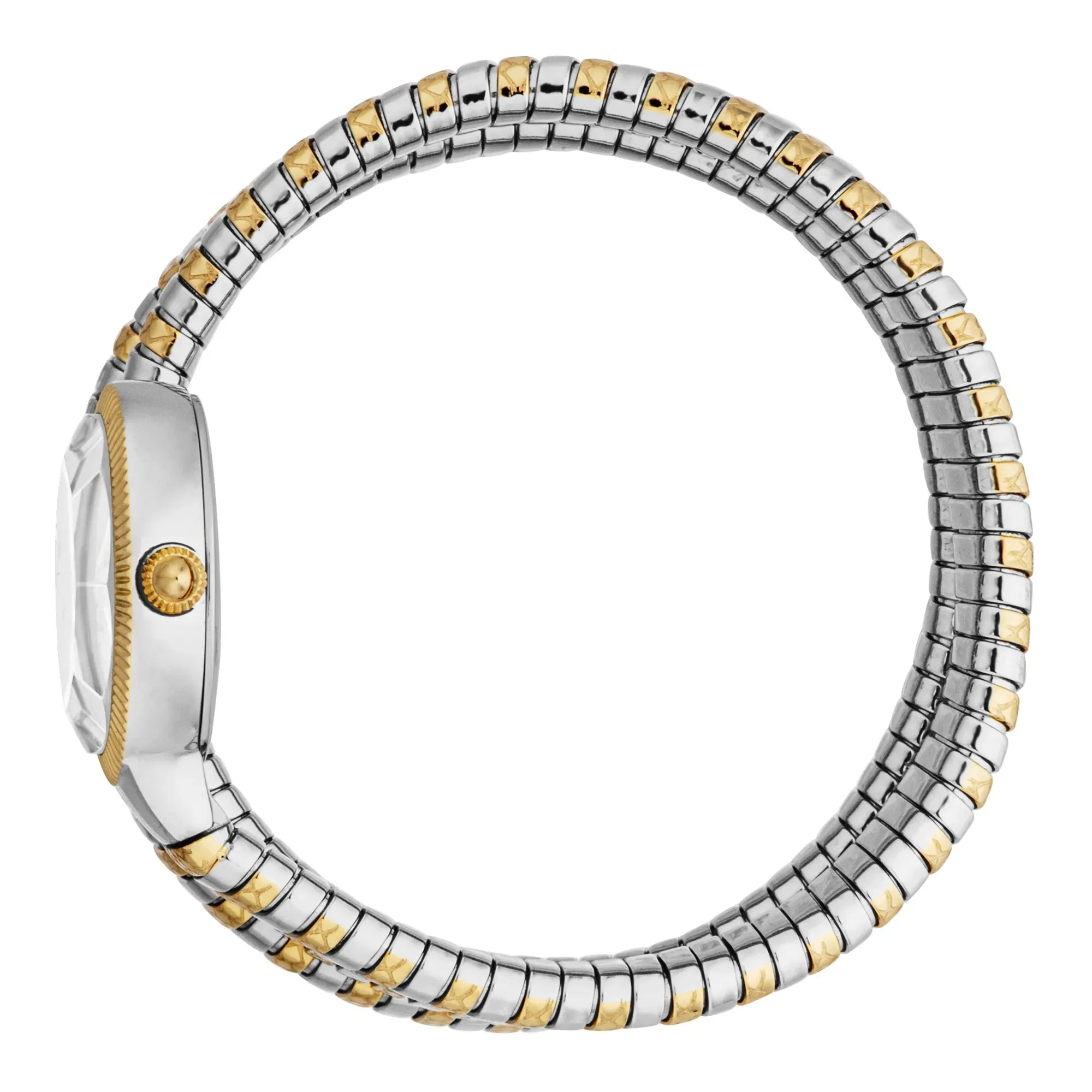 Just Cavalli After Party Silver Dial Two Tone Steel Strap Watch for Women - JC1L269M0055