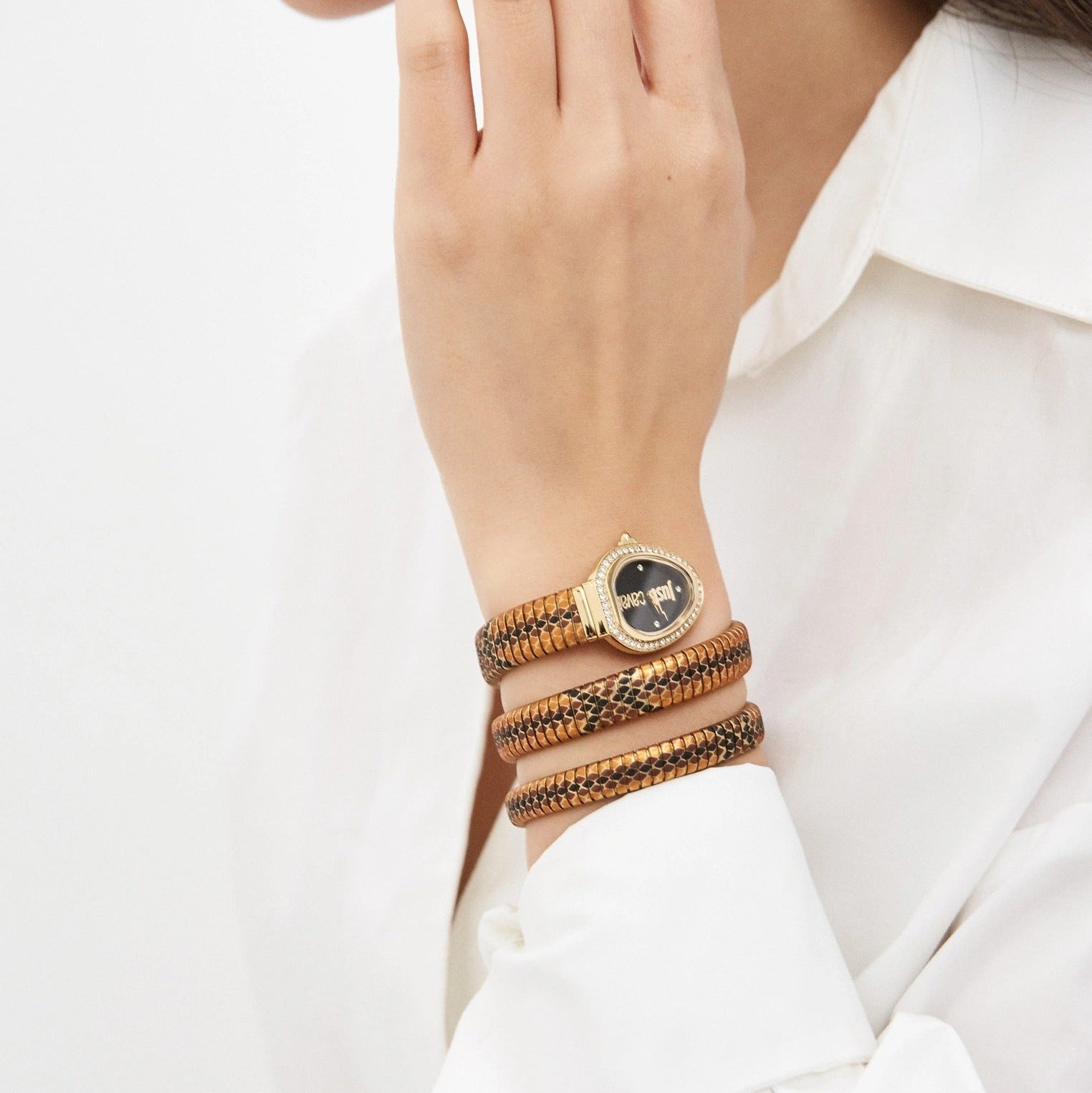 Just Cavalli Doppio Black Dial Multicolor Steel Strap Watch for Women - JC1L163M0065