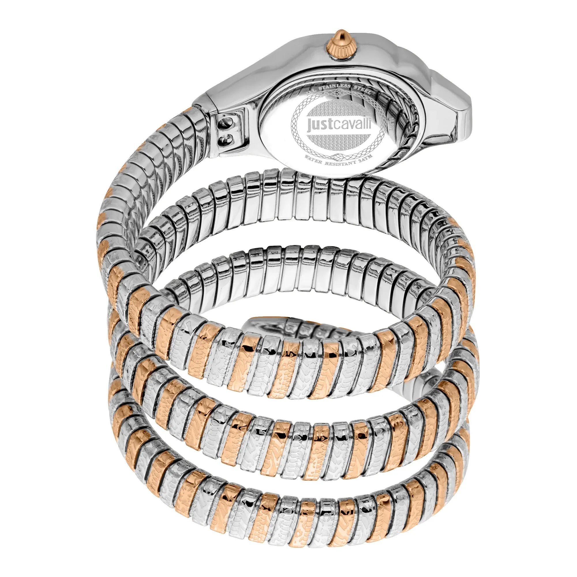 Just Cavalli Ravenna Silver Dial Two Tone Steel Strap Watch for Women - JC1L271M0065